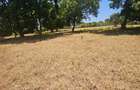 5 ac Land at Utange - 15