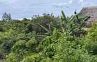 8,093.72 m² Land at Diani 3Rd Row Beach - 10