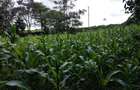 Land at Kirawa Road - 2