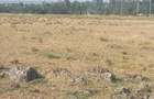 17 ac Land in Ongata Rongai - 3