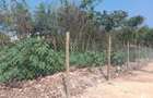 Land at Diani - 18