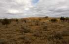 Land at Bisil - 1