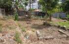 1.3 ac Land at Hatheru Road - 4