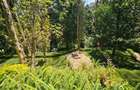 4 Bed Townhouse with En Suite in Kitisuru - 5