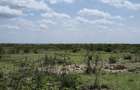 8 ac Residential Land at Nanyuki - 4
