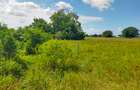 Residential Land at Kilifi Plantation - 15