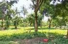 Land at Mtwapa - 1