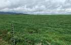 314 ac Land at Timau - 14