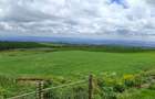 314 ac Land at Timau - 10