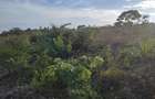 5.00 ac Land at Mabokoni - 6
