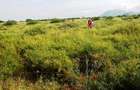 0.115 ac Land at Magadi Road - 1