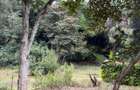 0.0123 ac Land in Ngong - 10