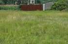 0.35 ha Residential Land at Ufanisi Lane Mugutha - 6
