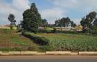 Land at Limuru Road - 3