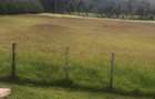 33 ac Land at Ol Kalou - 9