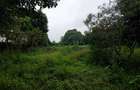 Commercial Land at Redhill Road - 10