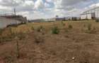 4.52 ac Land at Mlolongo - 1