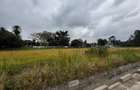1 ac Residential Land in Karen - 1