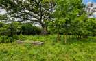 22 ac Land at Kondutsi - 3
