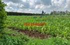0.4 ha Land at Tilisi - 3