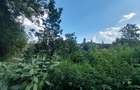 Residential Land at Runda Grove - 4