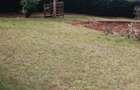 0.25 ac Land in Thika - 3