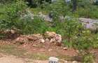 1,000 m² Residential Land at Vipingo - Kuruwitu - 12