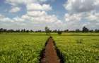 Land at Kiambu Rd - 2
