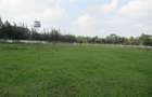 Residential Land at Ololua Ridge - 7