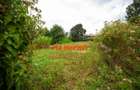 0.1 ha Residential Land in Kikuyu Town - 4