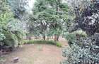 Commercial Property with Service Charge Included at Lavington - 9