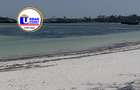 Land in Watamu - 1