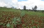 4.5 ac Land at Kibiko - 4
