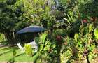 Serviced 1 Bed Apartment with En Suite in Kilimani - 6