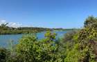 10.95 ac Land at Shanzu Beach - Overlooking Mtwapa Creek - 2
