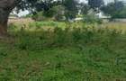 5 ac Land at Mavueni - 3