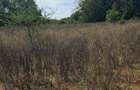 Land in Kilifi - 12