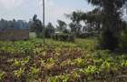 Land at Limuru Road - 13