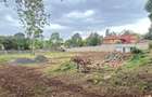 Residential Land at New Kitisuru - 4