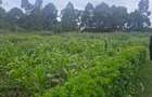 1 ac Land at Gicharani - 10