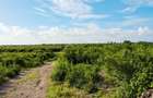 Land at Watamu - 14