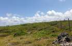 Land in Watamu - 7