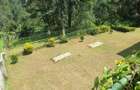 5 Bed Townhouse with En Suite at Lonetree - 6