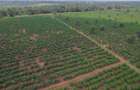 Residential Land at Juja-Gatundu Rd - 5