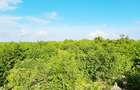 Land at Watamu - 1