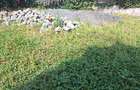 21,780 ft² Commercial Land at Gigiri Close To Village Market - 6