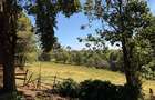 6.36 ac Land at Tigoni - 8