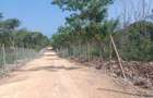 Land at Diani - 13