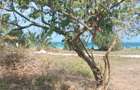 Land at Diani - 14