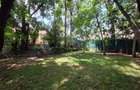 3 Bed House with Staff Quarters in Upper Hill - 4